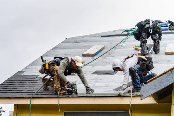 Professional Storm Damage Roof Repair technician working in Linden, WI